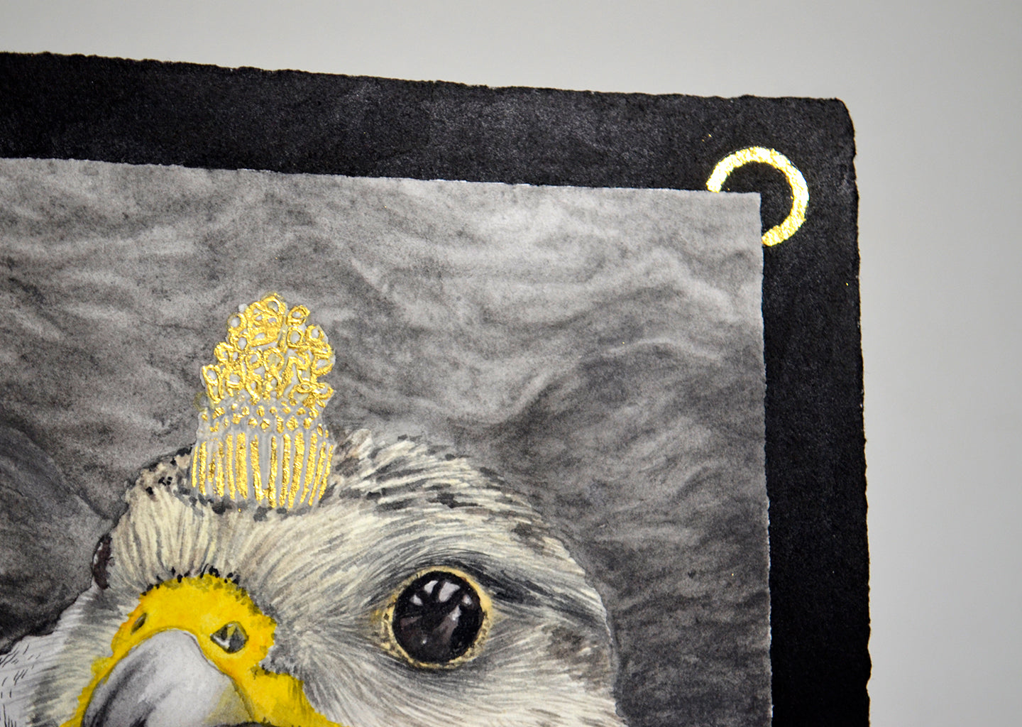 tiercel