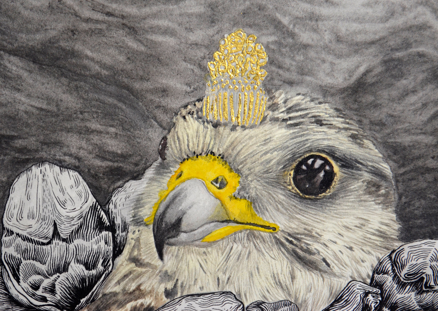 tiercel