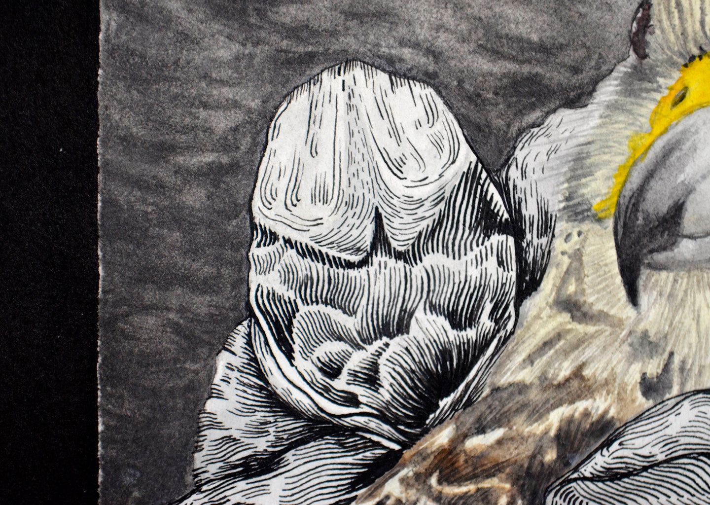 tiercel