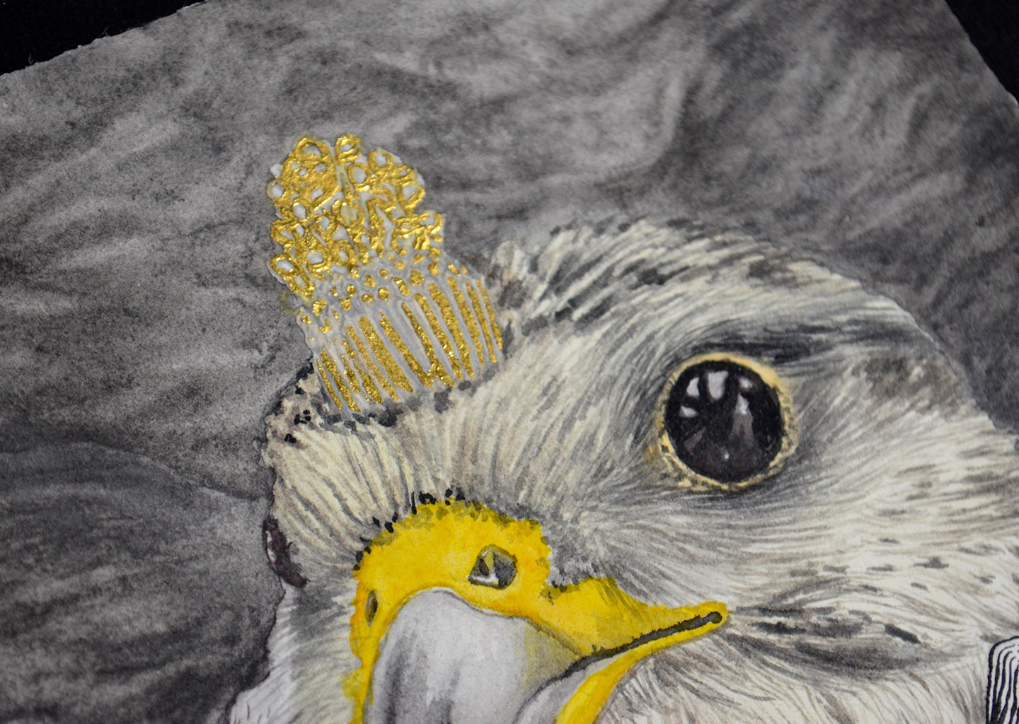 tiercel